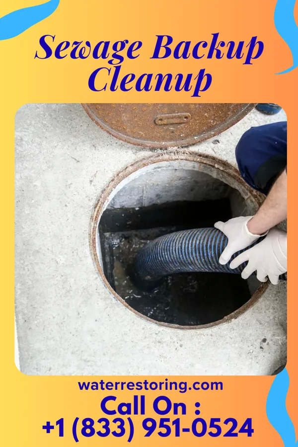 Sewage Backup Cleanup in Leachville, AR